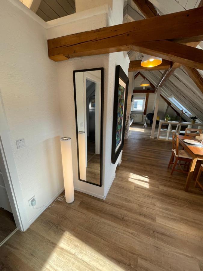 Apartment Schneider *